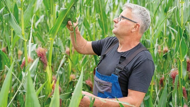 Niklaus Dähler bewirtschaftet seinen Betrieb in Mammern TG nach der Auflösung der Betriebsgemeinschaft mit einem Nachbarbetrieb seit diesem Jahr wieder selber. 