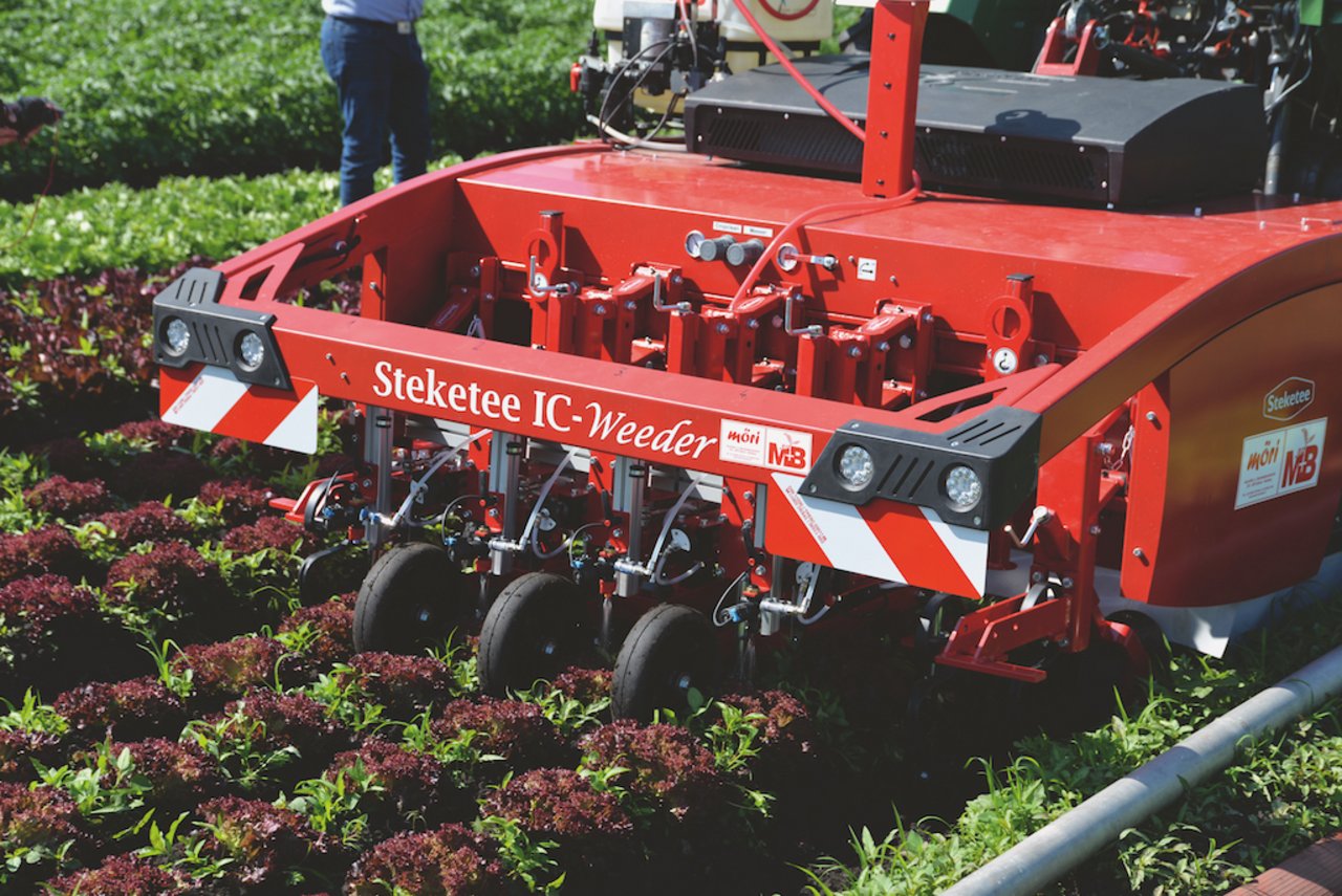 Der Steketee IC-Weeder spritzt und hackt automatisch. Bild: Beat Schmid