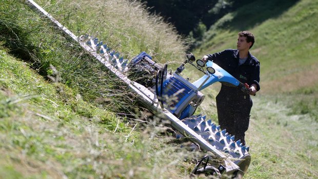 Silvan Erni beherrscht den Einachsmäher auch im steilsten Gelände. Bild: Beat Schmid