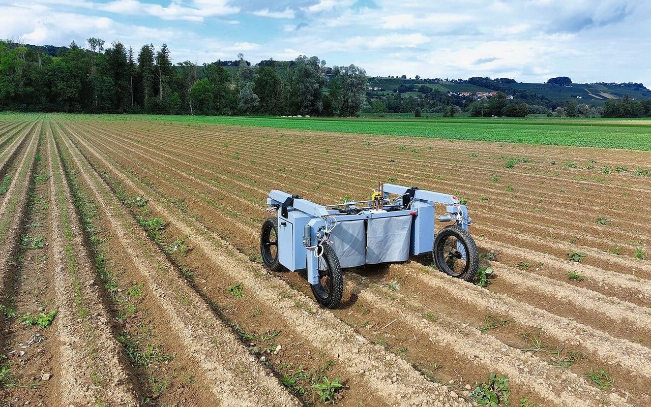 Dieser Jätroboter arbeitet autonom: Eingebaute Laser erkennen und entfernen das Unkraut.