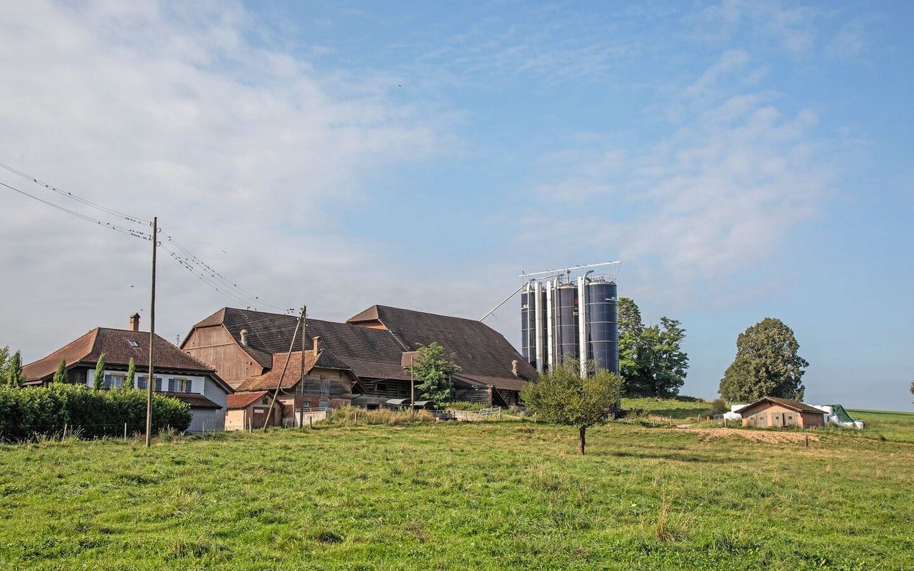 Der Bauernhof von Urs Dummermuth ist umgeben von Weideland. Neben dem Hof stehen die Futtersilos.