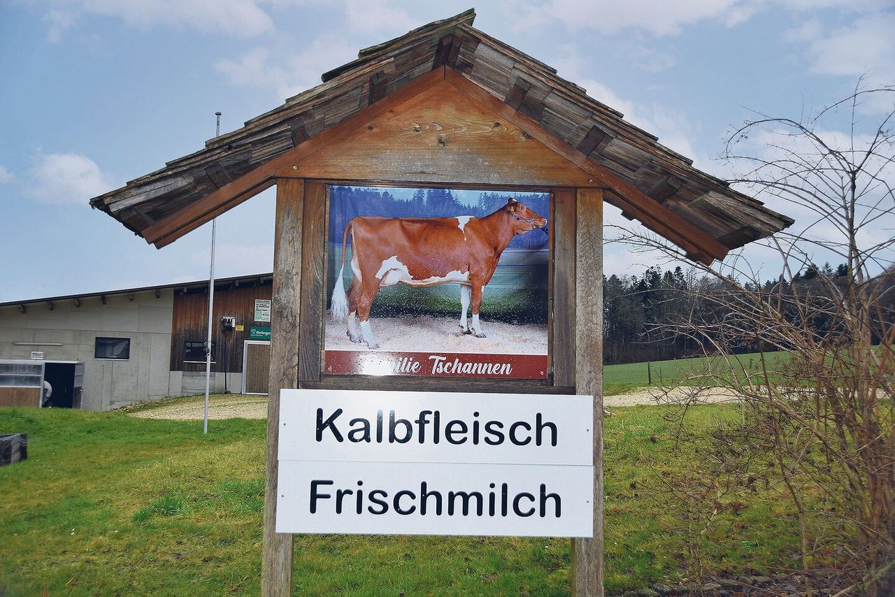 Die Familie Tschannen aus Mörigen bietet auf ihrem Betrieb auch Kalbfleisch und Frischmilch an. 