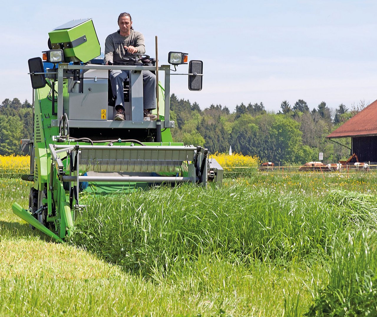 Agroscope testet laufend Futterpflanzen-Sorten und entwickelt standortangepasste Mischungen für den Schweizer Futterbau. Bild: Agroscope