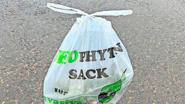 Der Neophytensack fasst 60 Liter und ist kostenlos bei den Gemeinden erhältlich.