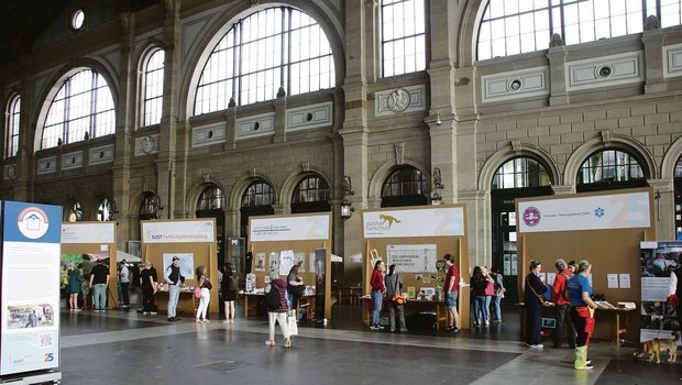 Zahlreiche Stände verschiedenster Tierschutzorganisationen in der Halle des Hauptbahnhofs Zürich.