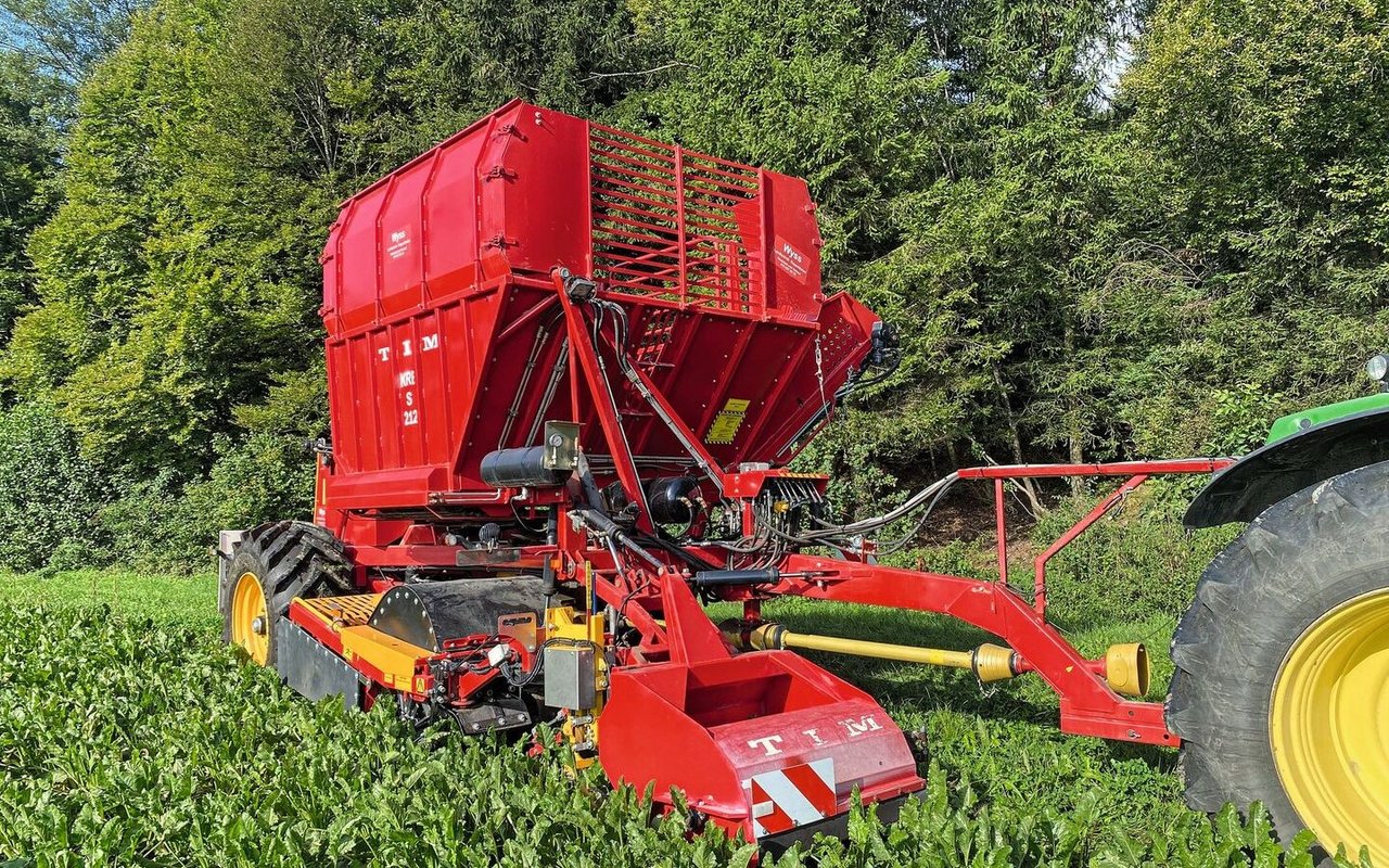 Das Lohnunternehmen Bachmann Maschinenbetrieb GmbH aus Kleinwangen LU hat auf diese Saison hin seinen bisherigen bewährten Tim Zuckerrüben-Vollernter mit dem neusten Modell KRB 212 ersetzt. Ebenfalls ein Zweireiher mit 12 Kubikmeter Bunkerinhalt.