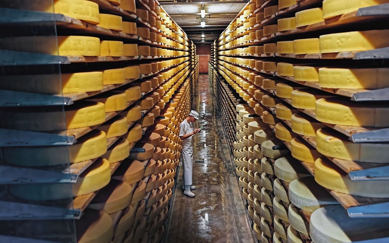 Käselager in der Schaukäserei «Maison du Gruyère» in Pringy FR.