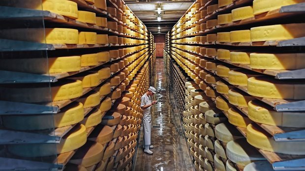 Käselager in der Sch Käselager in der Schaukäserei «Maison du Gruyère» in Pringy FR.