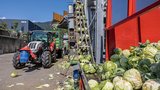 Der Kabis wird von Hadorns direkt zur Fabrik gefahren. Mittels einer Dosieranlage gelangen die Köpfe in die Fabrik zuerst zum Strunkbohrer. Die Rüstabfälle werden vom Produzenten gleich wieder mitgenommen und auf dem Feld verteilt.