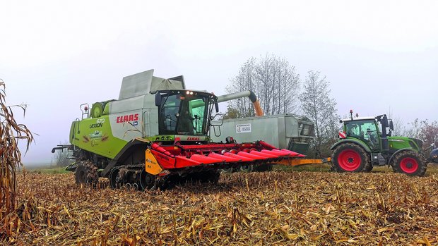 Das Lohnunternehmen Krummenacher aus Dietwil AG setzt für die Körnermaisernte zur Bodenschonung einen Drescher mit Raupenfahrwerk ein.
