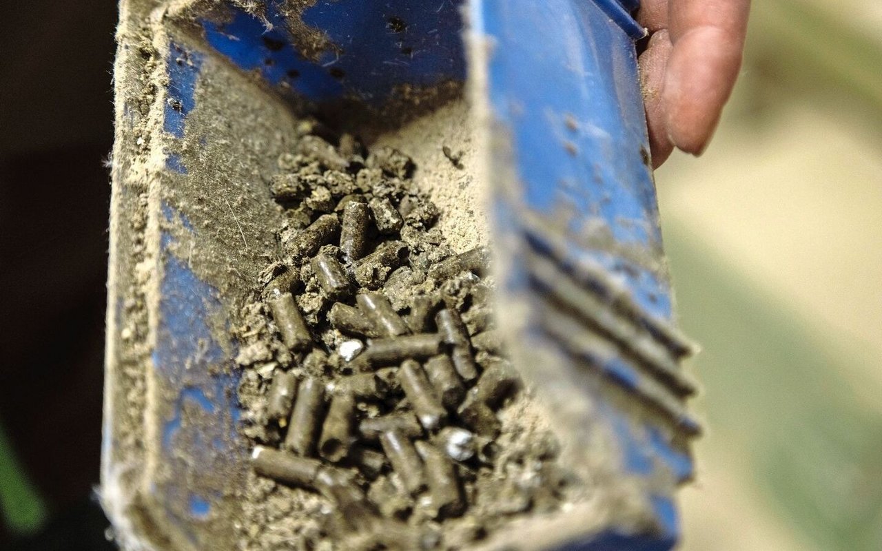 Pellets direkt aus der Presse: Auf dem Sagihof wird der hofeigene sowie der Hühnermist von zwei weiteren Betrieben zu hochwertigem Dünger verarbeitet.