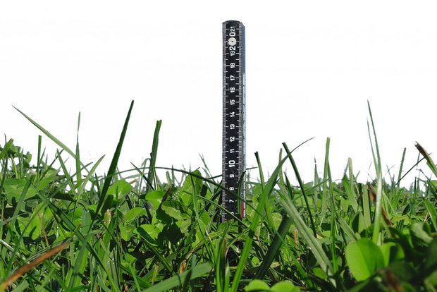 Beim einwintern sollte die Grashöhe 8 bis 10 cm betragen (Messung mit dem Doppelmeter). Bild: Beat Schmid