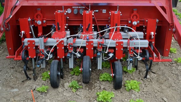 Jät- und Spritzroboter Steketee von Agroscope ist eine Möglichkeit, wie in Zukunft Pflanzenschutzmittel eingespart werden könnten. (Bild jsc)