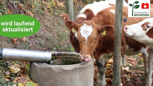 Die BauernZeitung informiert über die Trinkwasser-Initiative (Bild: BauernZeitung/Ruth Aerni)