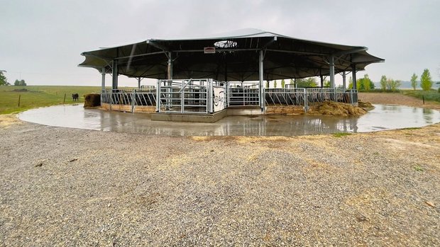 Was aussieht wie ein Was aussieht wie ein Zirkuszelt ohne Seitenwände ist ein Roundhouse-Stall. Das Dach mit 30 Meter Durchmesser bietet den Tieren Schutz vor Regen, gleichzeitig aber auch frische Luft und Komfort.