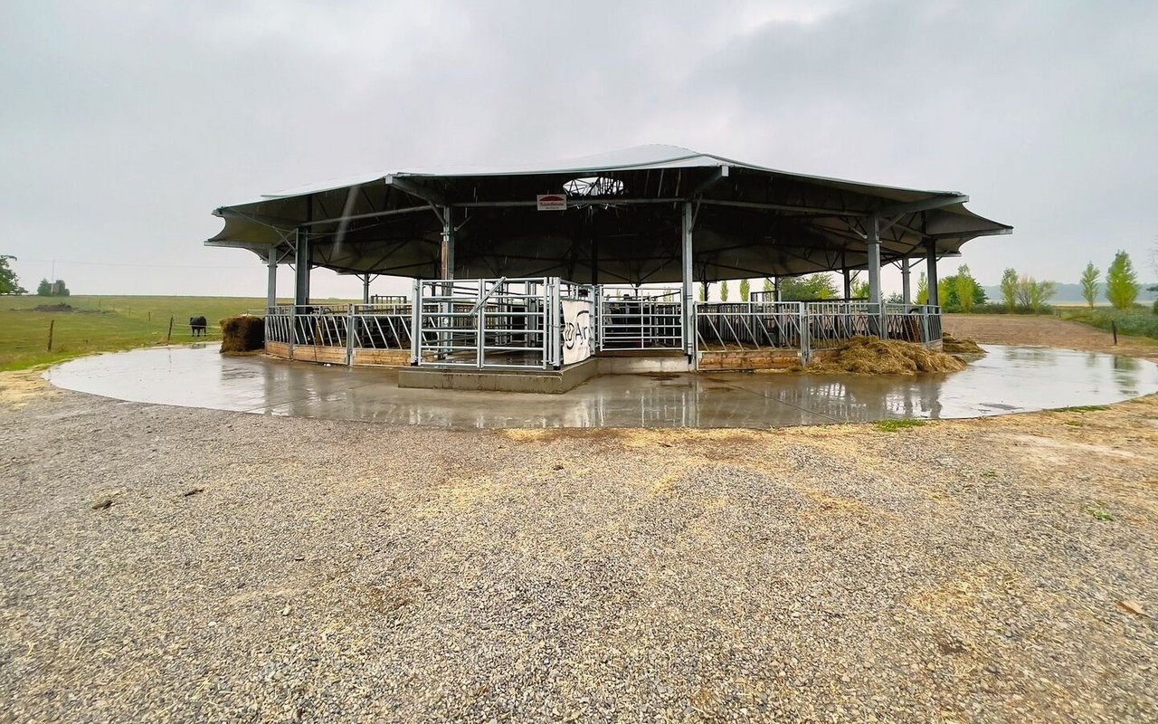 Was aussieht wie ein Zirkuszelt ohne Seitenwände ist ein Roundhouse-Stall. Das Dach mit 30 Meter Durchmesser bietet den Tieren Schutz vor Regen, gleichzeitig aber auch frische Luft und Komfort.