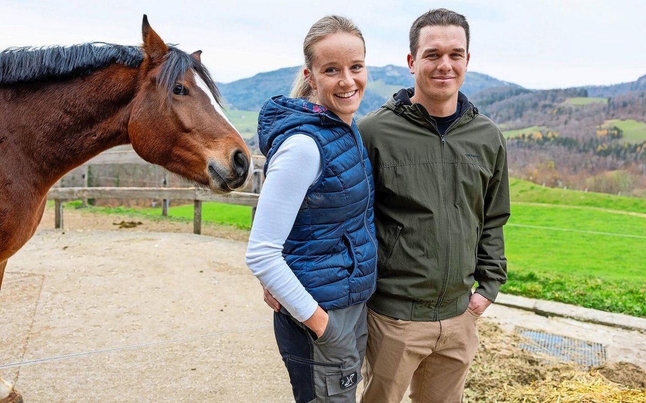 Vielleicht kommen nebst den eigenen Pferden auch noch eigene Mutterkühe auf den Hof. Ein Projekt von Liliane Bader und Thomas Ackermann.