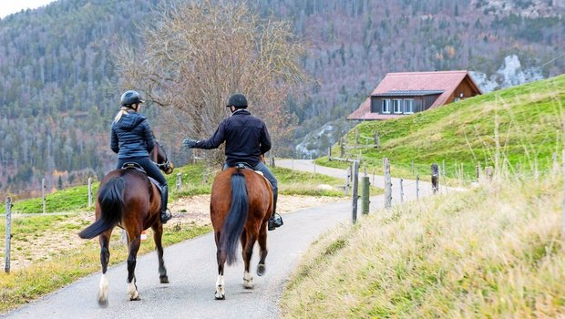 Regelmässige und bewusst geführte Gespräche, zum Beispiel beim gemeinsamen Hobby, können dabei helfen, Konflikten entgegenzuwirken.