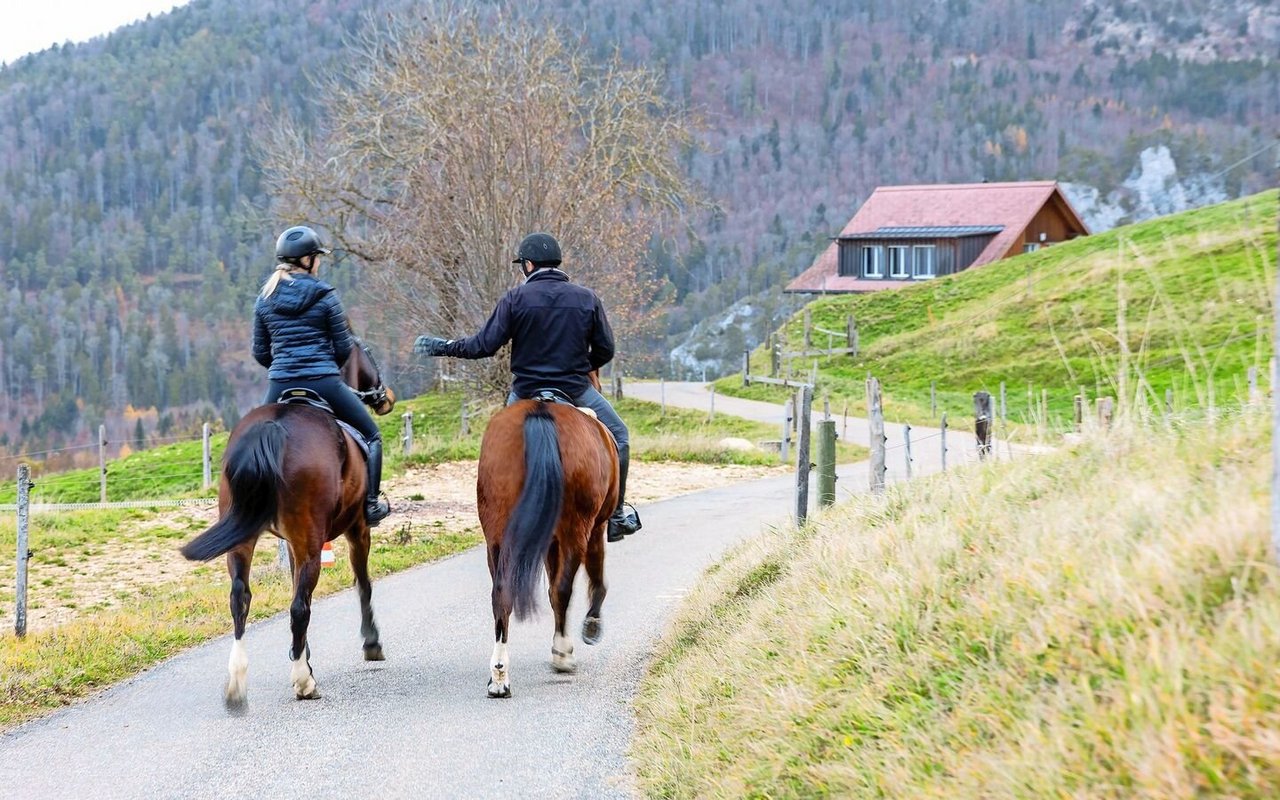 Regelmässige und bewusst geführte Gespräche, zum Beispiel beim gemeinsamen Hobby, können dabei helfen, Konflikten entgegenzuwirken.