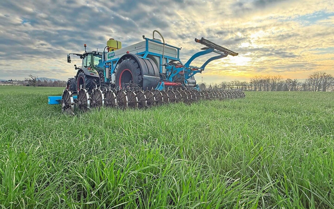 Mit Cultan wird Flüssigdünger in Form einer Ammoniumsulfatlösung direkt in den Boden injiziert. Familie Z’Rotz konnte so den Proteingehalt beim Getreide steigern.