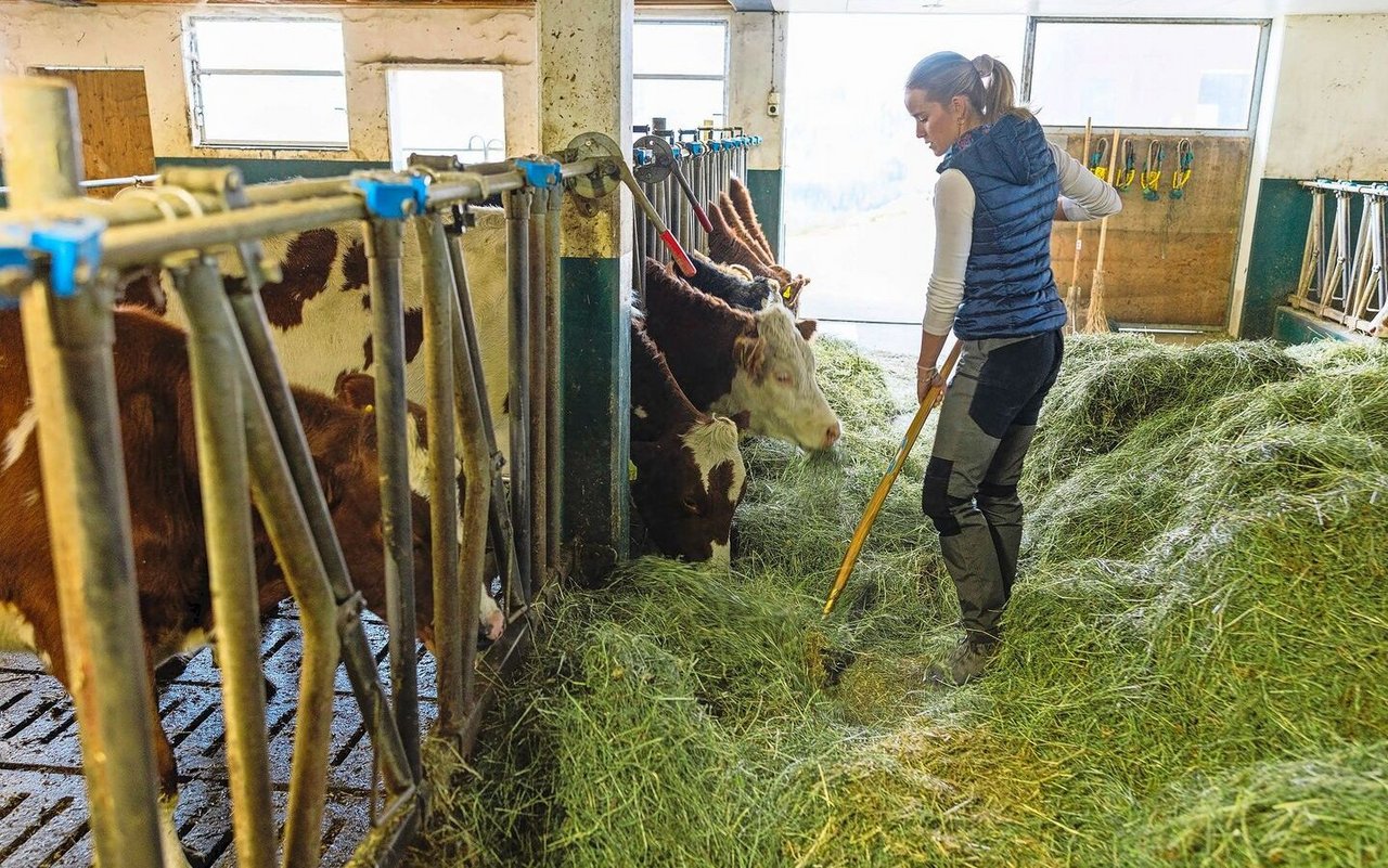 Liliane Bader hat einen guten Draht zu Tieren und möchte auch nach der Hofübernahme die Rinderaufzucht weiterführen. 
