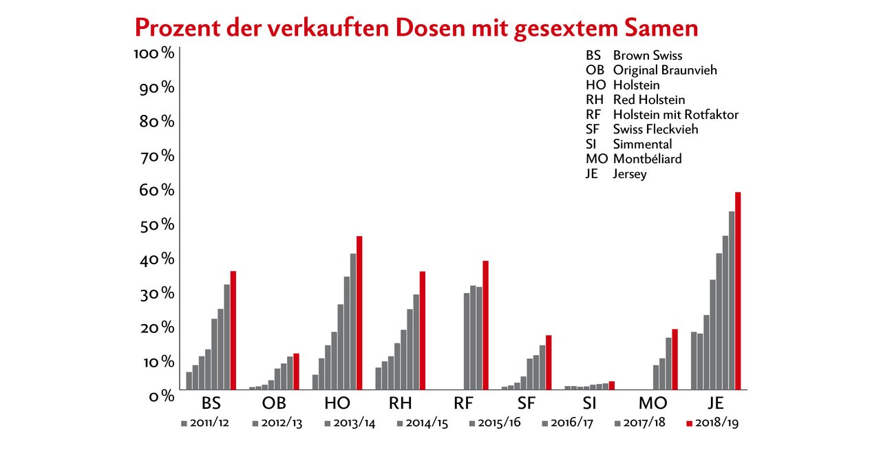 Der Prozentsatz gesexter Samendosen hat vor allem bei den milchbetonten Rassen in den letzten acht Jahren stark zugenommen. Quelle: Swissgenetics