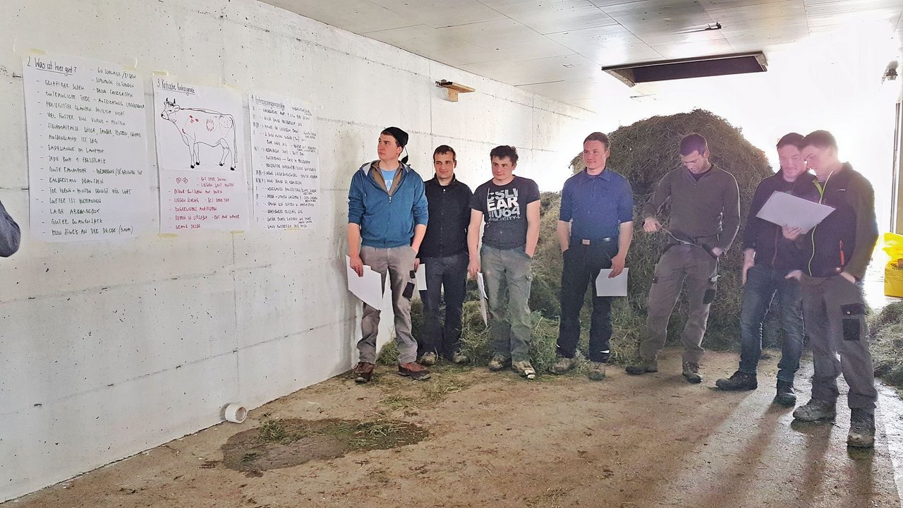 Simon Raschle, Andreas Helg, Roman Buff und Manuel Alder, (v.l.n.r)präsentieren die Verbesserungen im Milchviehstall.