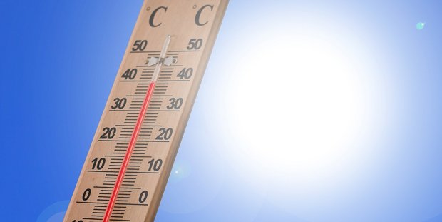 Hitzestress bei Nutztieren: 9 coole Tipps für Milchkühe, Galtvieh und Kälber