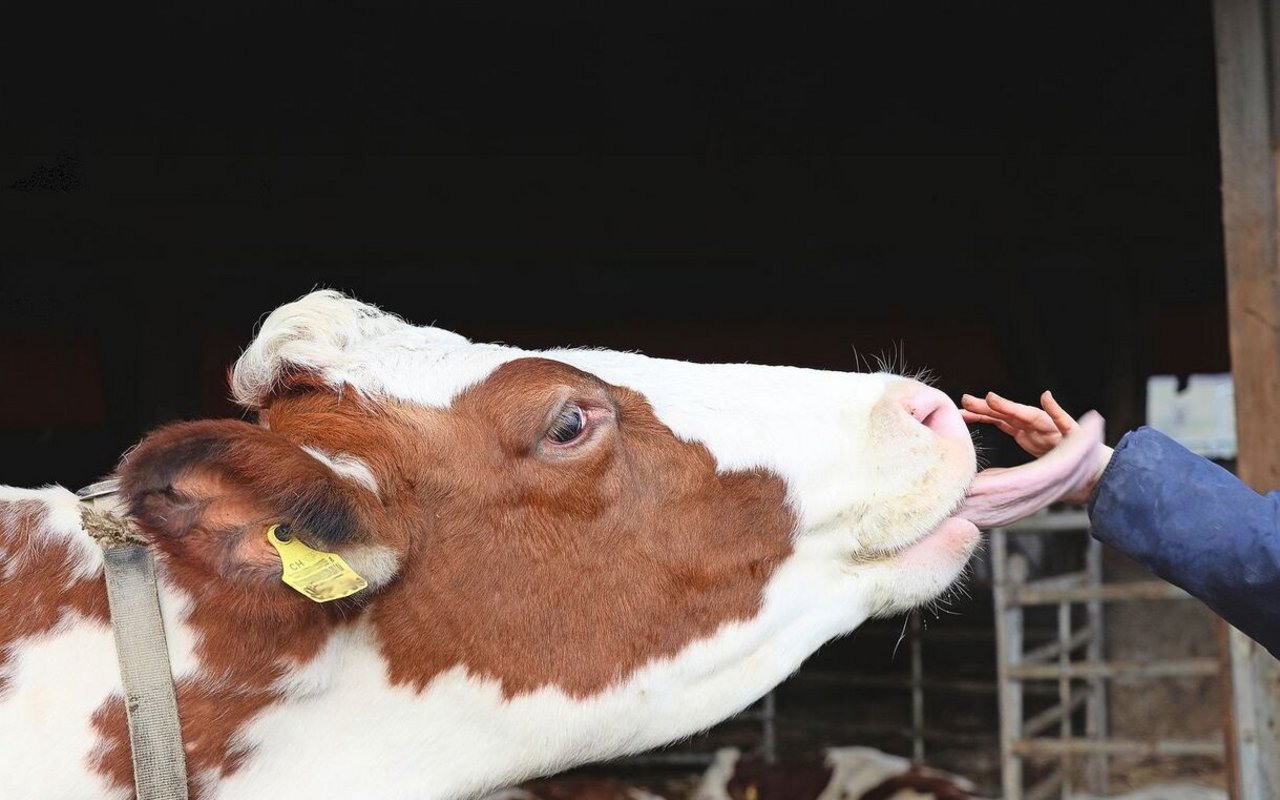 Vieles passiert spontan. Doch hinter jedem Betreuungsangebot sollte ein Konzept stehen.