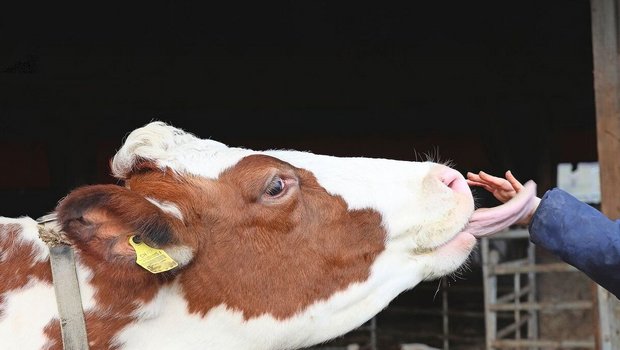 Vieles passiert spontan. Doch hinter jedem Betreuungsangebot sollte ein Konzept stehen.