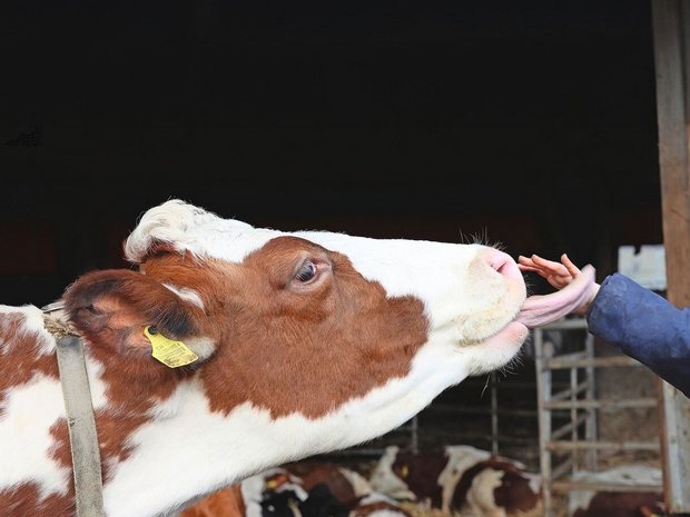 Vieles passiert spontan. Doch hinter jedem Betreuungsangebot sollte ein Konzept stehen.