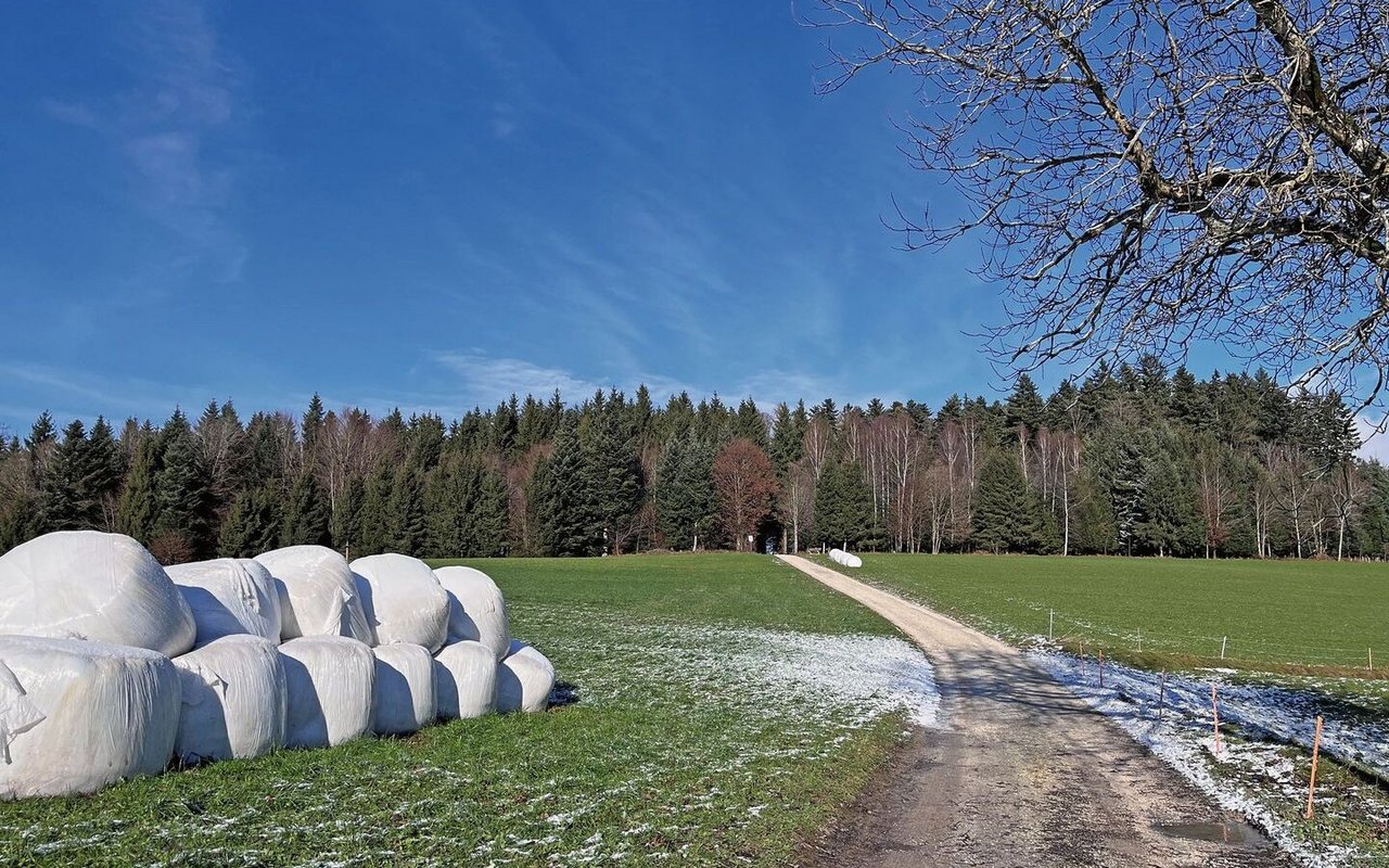 Nur ein Drittel aller Siloballenfolien in der Schweiz wird wiederverwertet. Das System ERDE Schweiz will nächstes Jahr das Netz der Sammelstellen weiter ausbauen.