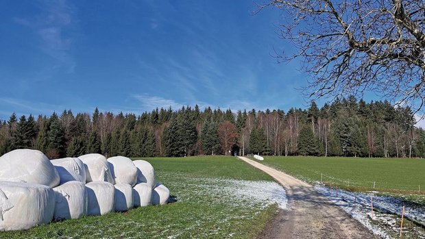 Nur ein Drittel alle Nur ein Drittel aller Siloballenfolien in der Schweiz wird wiederverwertet. Das System ERDE Schweiz will nächstes Jahr das Netz der Sammelstellen weiter ausbauen.
