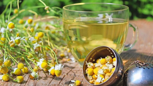 Die Kamille ist Michael Walkenhorsts Lieblingspflanze. Er findet, sie sei ein idealer Einstieg in die Welt der Heilpflanzen.