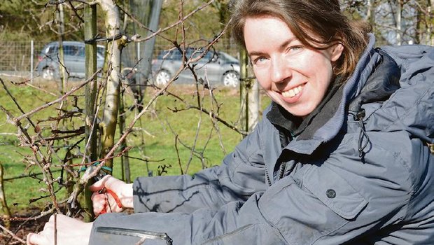 Ronja Ottink war in den Niederlanden als Gemüsegärtnerin tätig, bis sie ihre Leidenschaft für den Obstbau entdeckte. Für die Lehre zur Obstbaufachfrau ist sie in die Schweiz gezogen. (Bild Marianne Stamm)