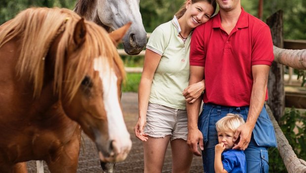 Familie Anderhub aus Eschenbach LU entwurmt ihre Pferde selektiv. Bild: Pia Neuenschwander