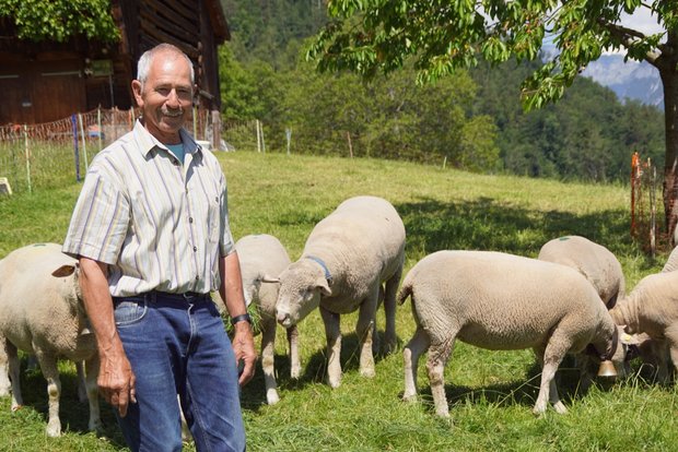 Moderhinke bei Schafen mit Geduld bekämpfen Wolfgang Willi, Schafhalter und BGK-anerkannter Moderhinke-Berater. Er hat seine Herde erfolgreich von Moderhinke befreit. Bild: Michael Götz