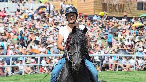 Am Marché Concours in Saignelégier: Für Brigitte Favre ist der Freibergerhengst Hayden (Houston/Eiger) ein ganz spezielles Pferd. 