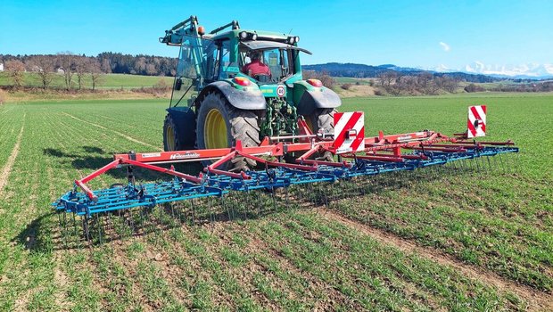 Im Vergleich zu Präzisionsstriegeln sind auch mit direkt gefederten Striegelzinken gute Ergebnisse bei der Unkrautbekämpfung möglich.