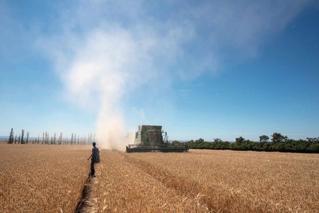 Landwirte sollten die voraussichtliche Drusch-Reihenfolge sollte schon früh planen. Wenn es möglich ist,sollten stets die gleichen Sorten direkt nacheinander geerntet werden.