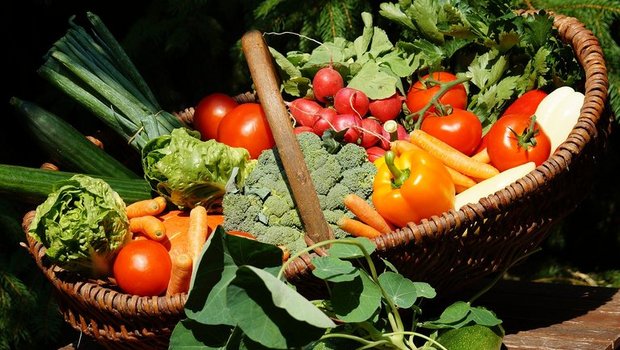 Beim Bio-Gemüse ist der Umsatz hingegen gestiegen. (Bild pixabay)
