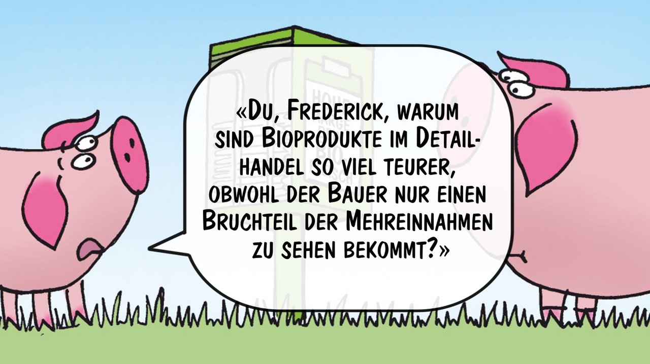 Die Schweine Piggeldy und Frederick wundern sich... Cartoon: Marco Ratschiller/Karma
