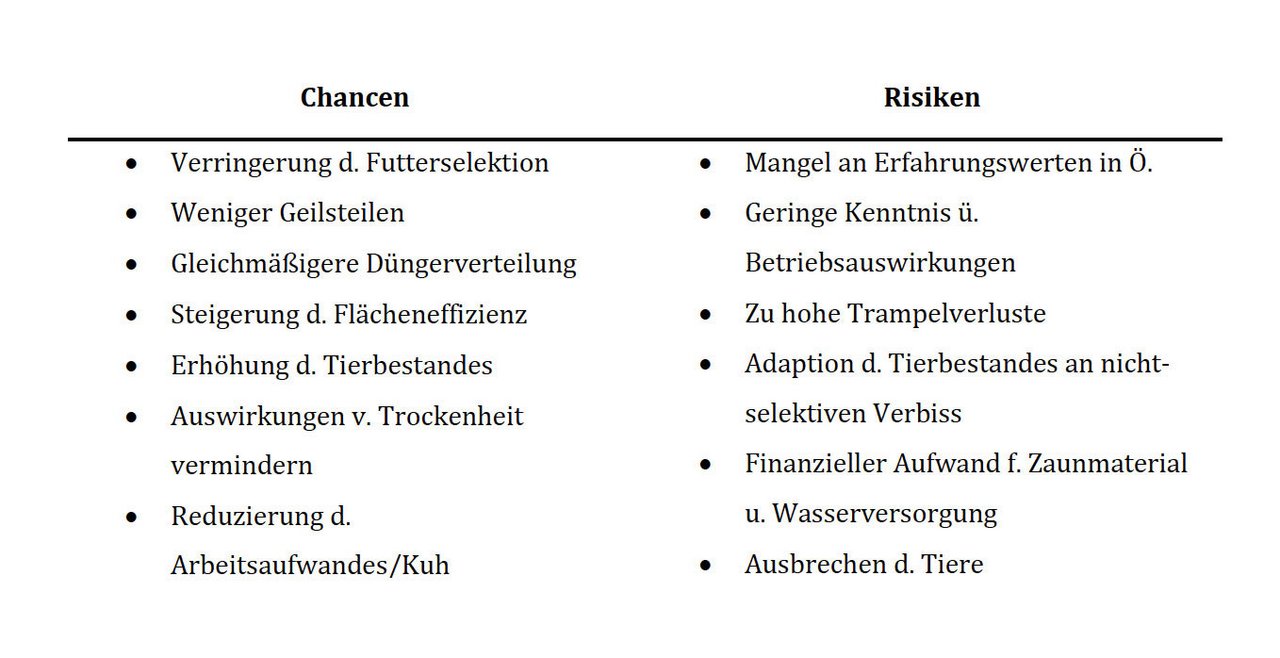 Im Rahmen einer Bachelor-Arbeit wurden auch die Chancen und Risiken von Mob-Grazing evaluiert. (Bild Winter et. al / Boku Wien)