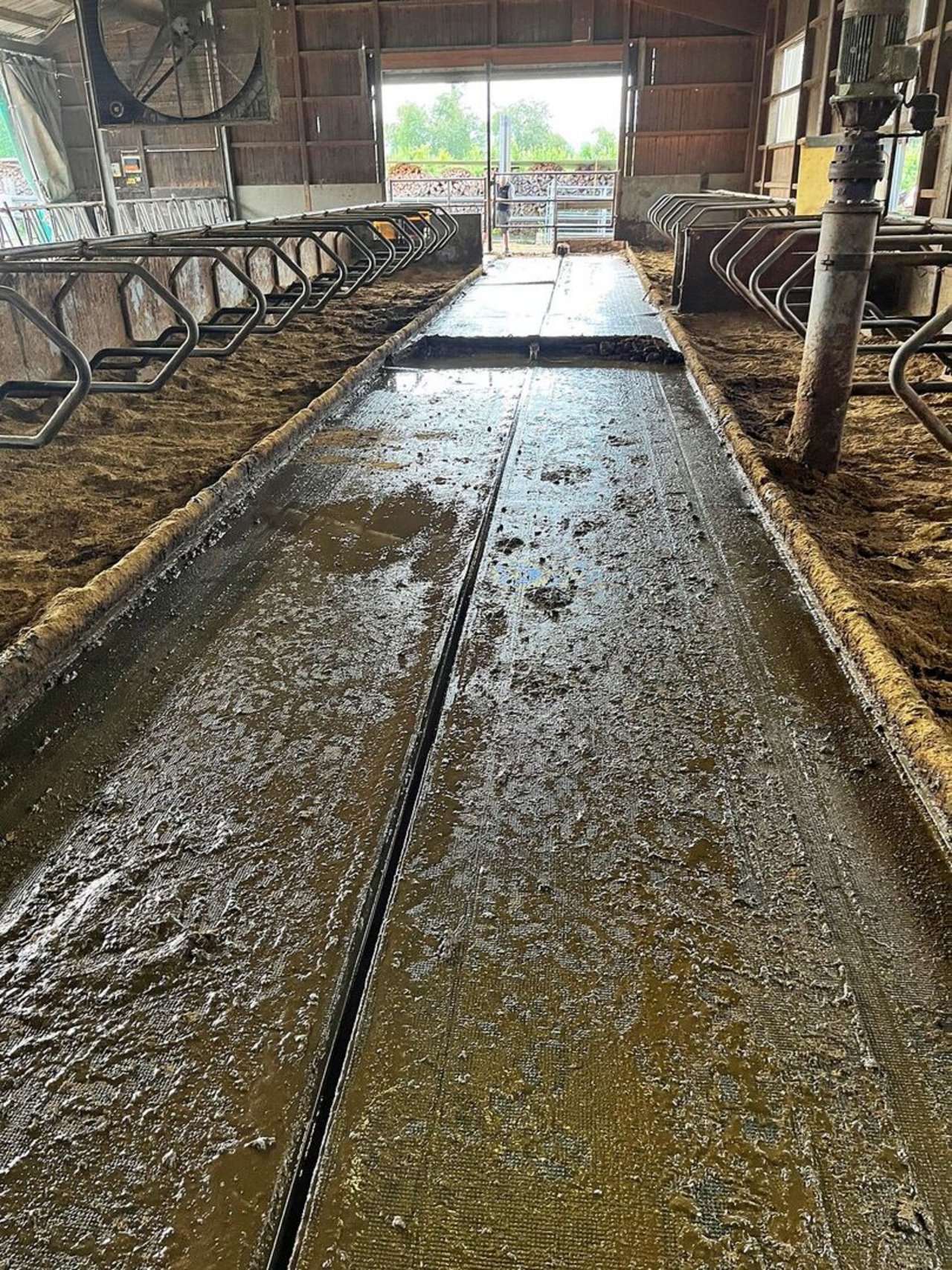 Unter den Rändern der Gummimatten sammelten sich Kot- und Futterreste an. 