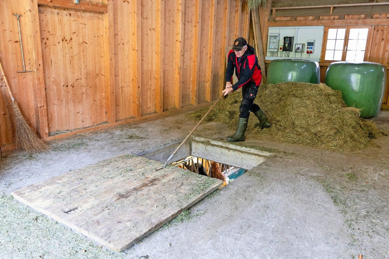 Wenn Josef Bader nicht mit seinem Transportunternehmen beschäftigt ist, packt er überall auf dem Betrieb an. 