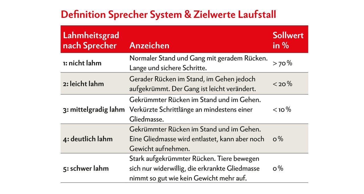 Die Schwere der Lahmheit hat einen entscheidenden Einfluss auf die Auswirkungen und Folgen und muss deshalb genau definiert werden. Grafik: Nicole Geiser