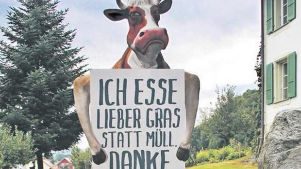«Die Behandlungen wegen Fremdkörpern bei Kühen werden immer mehr», sagt Paul Trachsel, Tierarzt in St. Antoni. (Bild Martina Schafer)