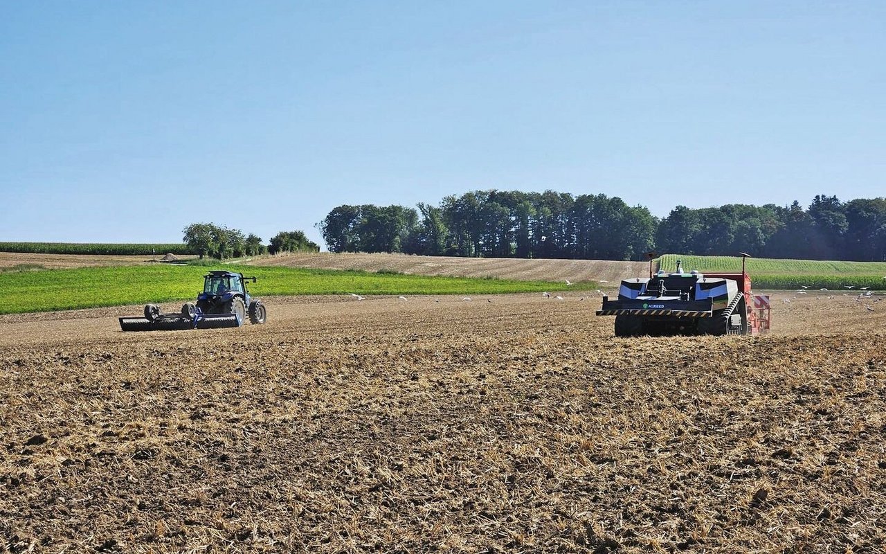 Hier wird auf der sechs Hektaren grossen Parzelle von Beat Mathys eine einjährige Futtermischung gesät. Der Feldroboter – ein AgBot 5.115T2 mit Raupenlaufwerk – hat die Parzelle vorgängig gegrubbert.