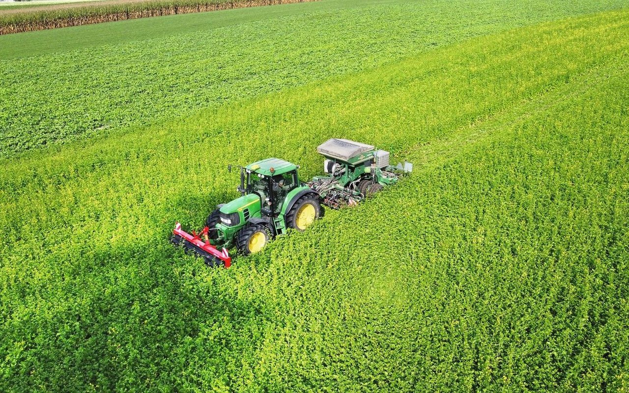 Die Direktsaat bringt Andreas Indermühle Vorteile in seiner Pflanzenbaustrategie. Er setzt auf eine hohe Pflanzengesundheit mit guten Erträgen und Qualitäten.