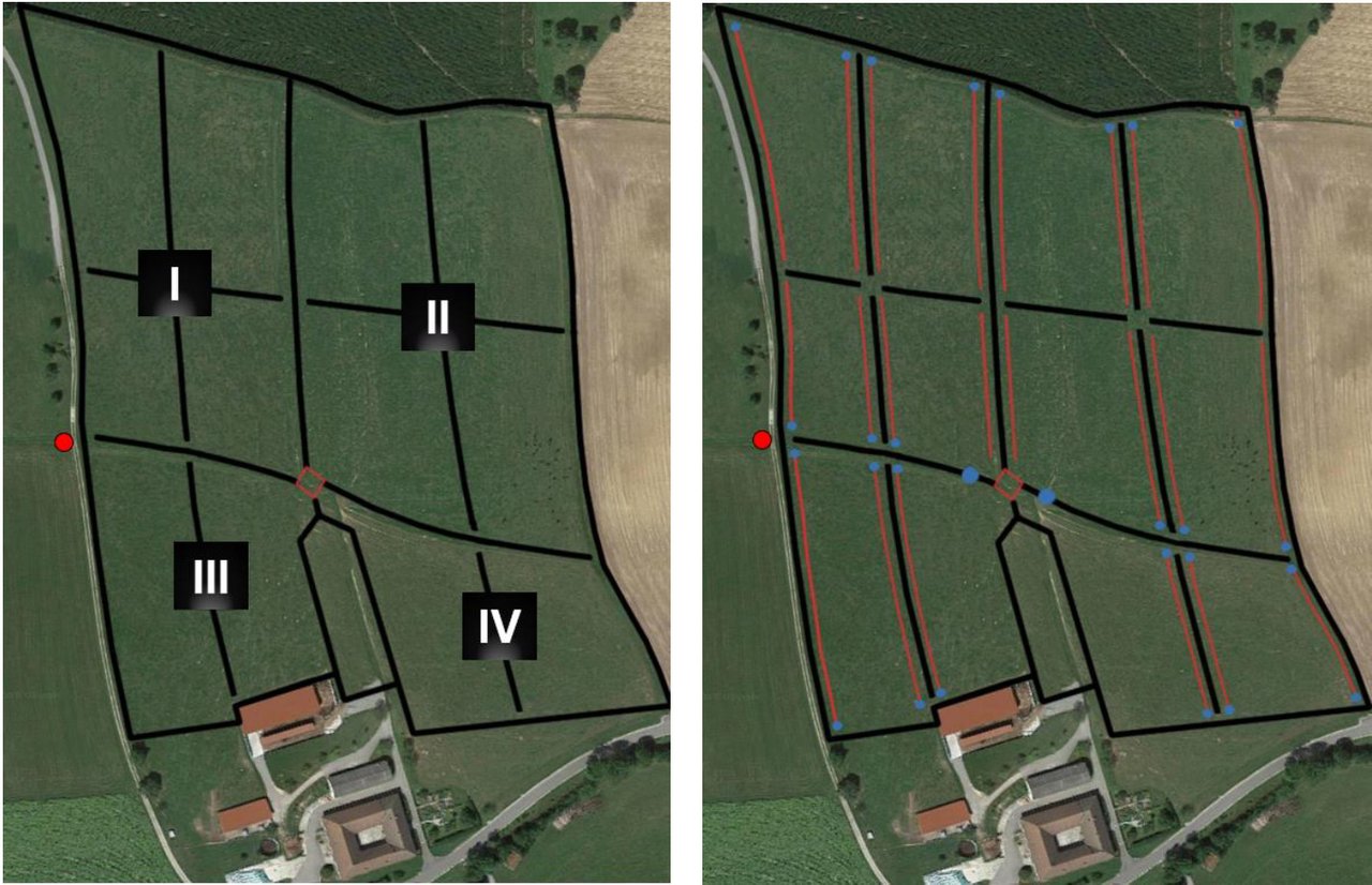 Weidelayout für die Umsetzung von Mob Grazing: zuerst muss die Weide in einzelne Flächen eingeteilt werden. (Bild Winter et al. / Boku Wien)